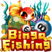 Câu Cá Bingo m kuwin