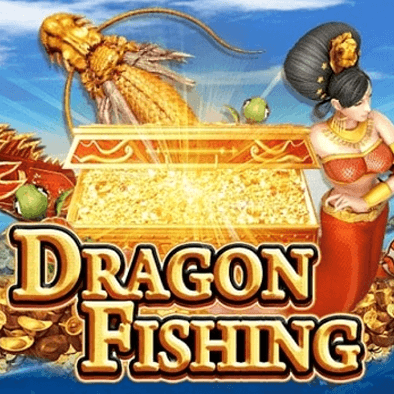 Câu Cá Rồng m kuwin